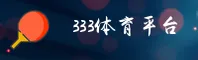 使用指南与常见问题